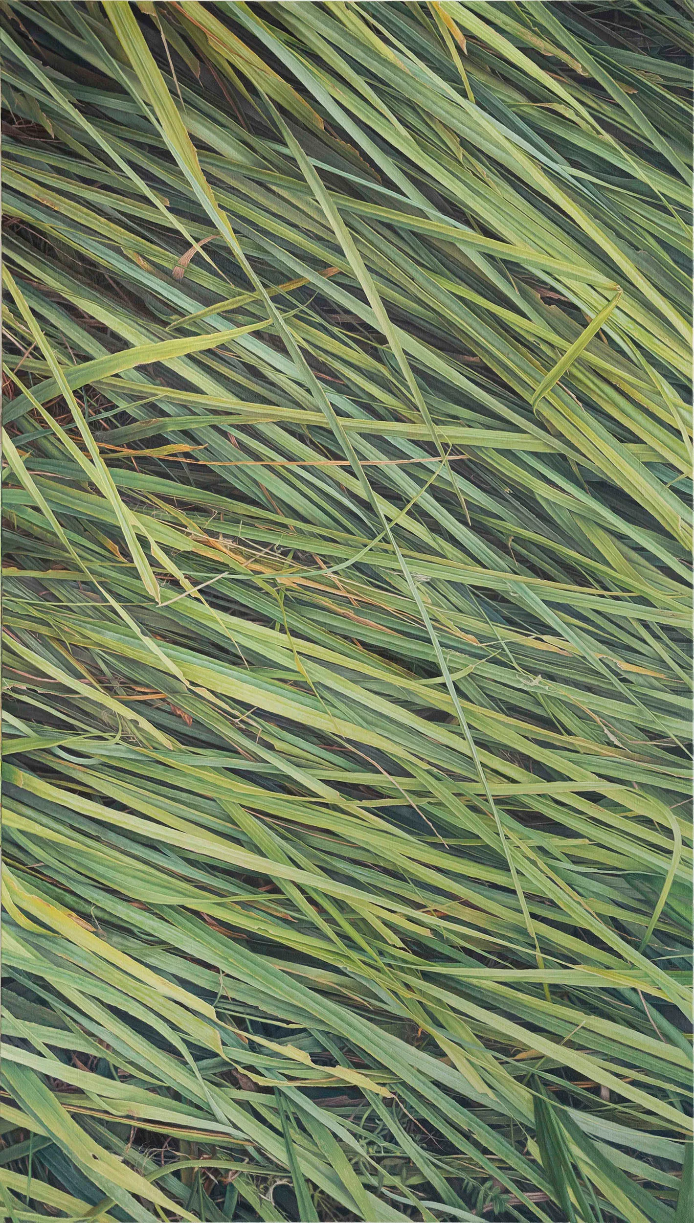NO.24, 155x88 cm, óleo sobre lino - DISPONIBLE