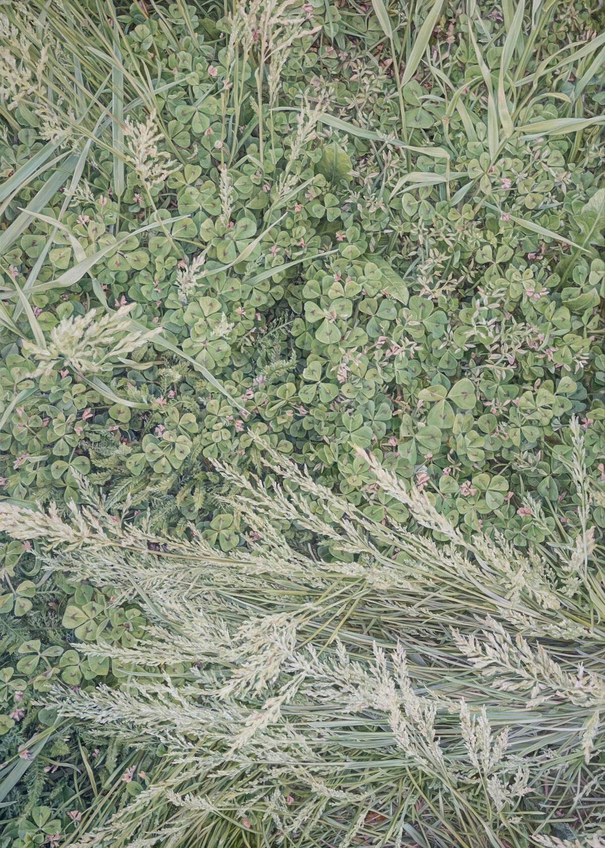 No.21, 140x100cm, oil on linen - AVAILABLE