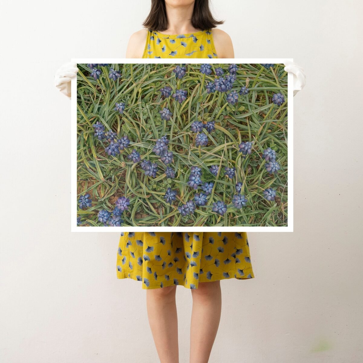 Prints - Limited edition