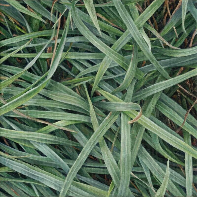 SOLD - No.13, 25x25cm, oil on canvas