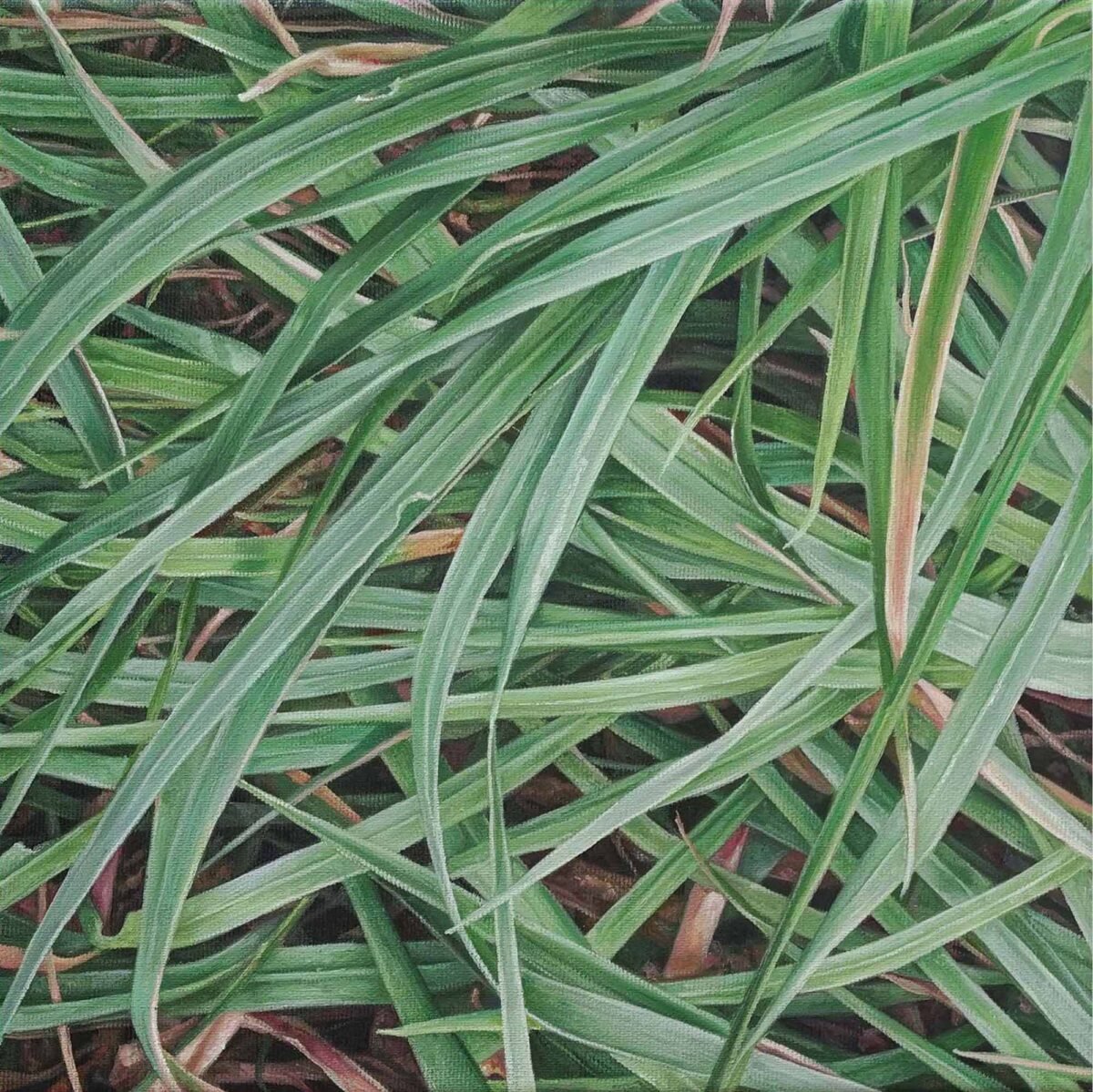 SOLD - No.17, 30x30cm oil on canvas