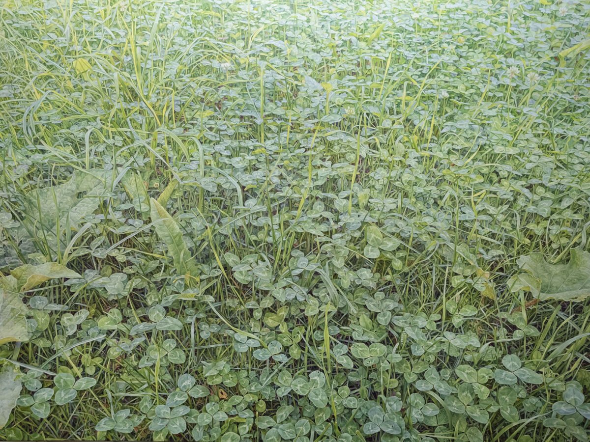 SOLD - No.25, 150x200cm, oil on canvas