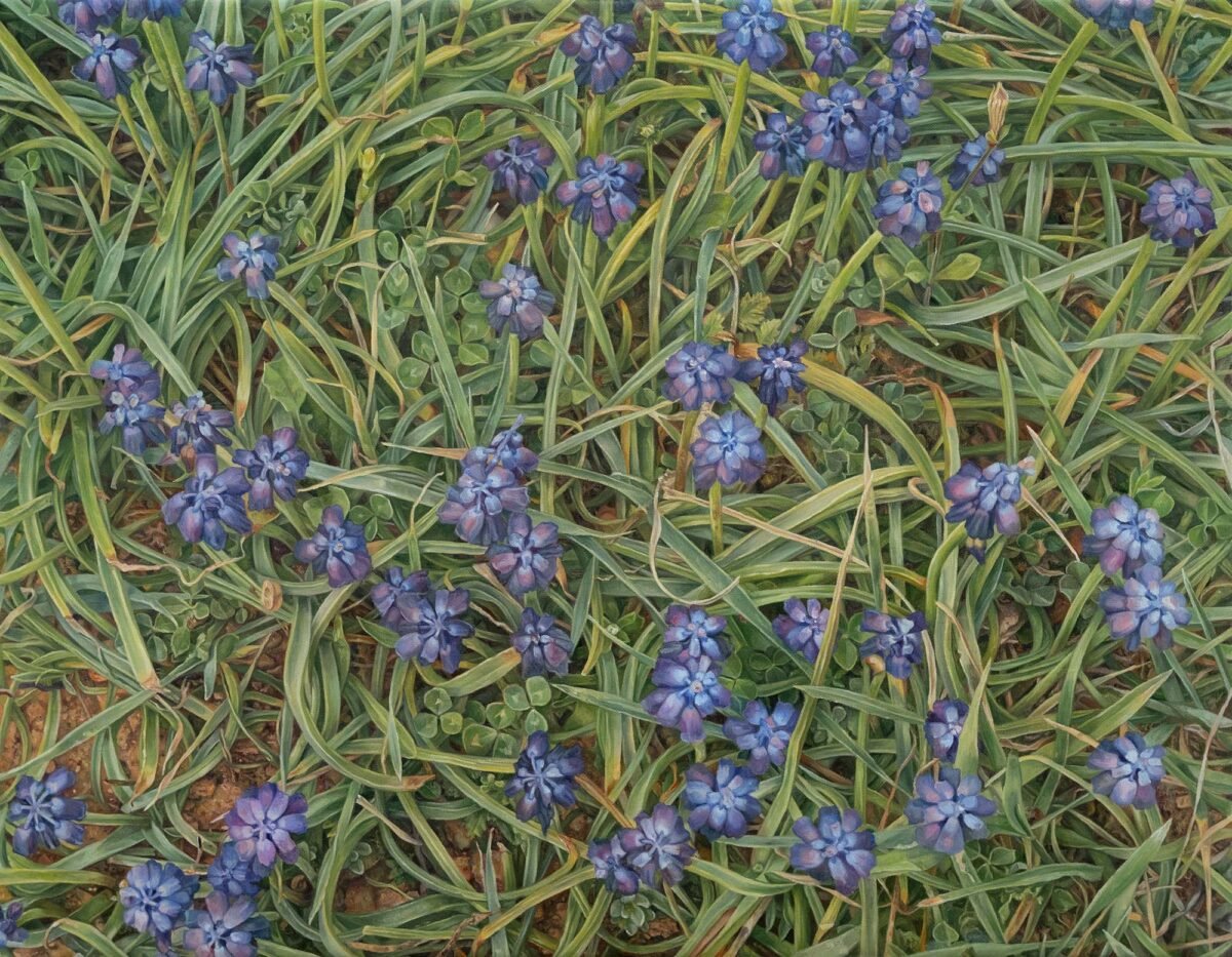 No.26, 90x70cm, oil on linen canvas, AVAILABLE