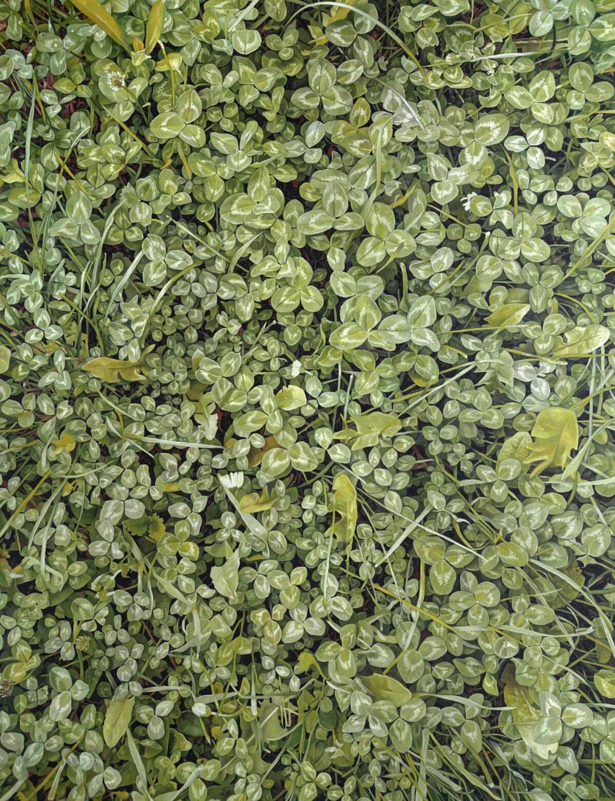 SOLD, No.6, 176x133cm, oil on canvas