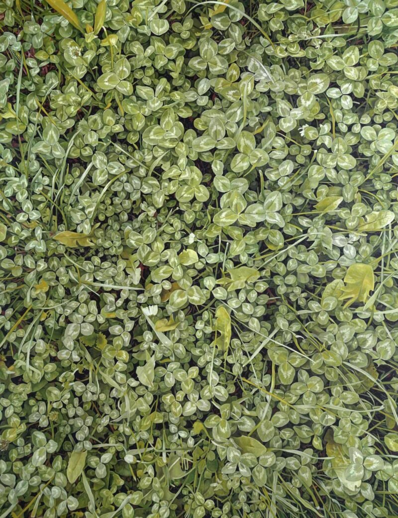 SOLD, No.6, 176x133cm, oil on canvas