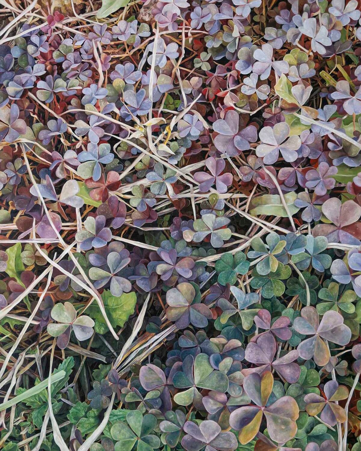 SOLD - No.8, 150x120cm, oil on canvas