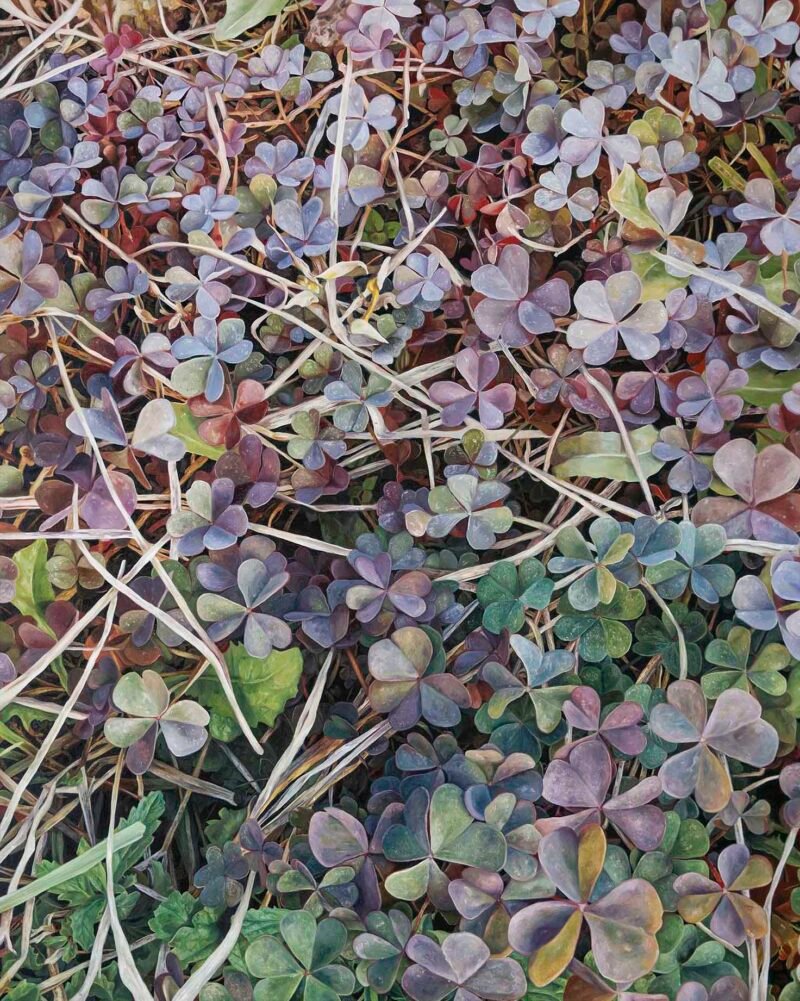 SOLD - No.8, 150x120cm, oil on canvas