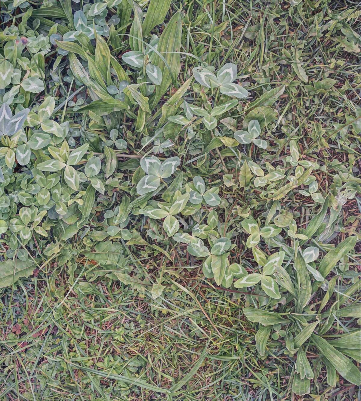 SOLD - No.19, 200x180cm, oil on canvas