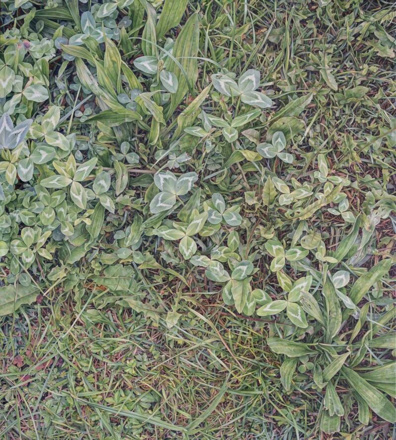 SOLD - No.19, 200x180cm, oil on canvas