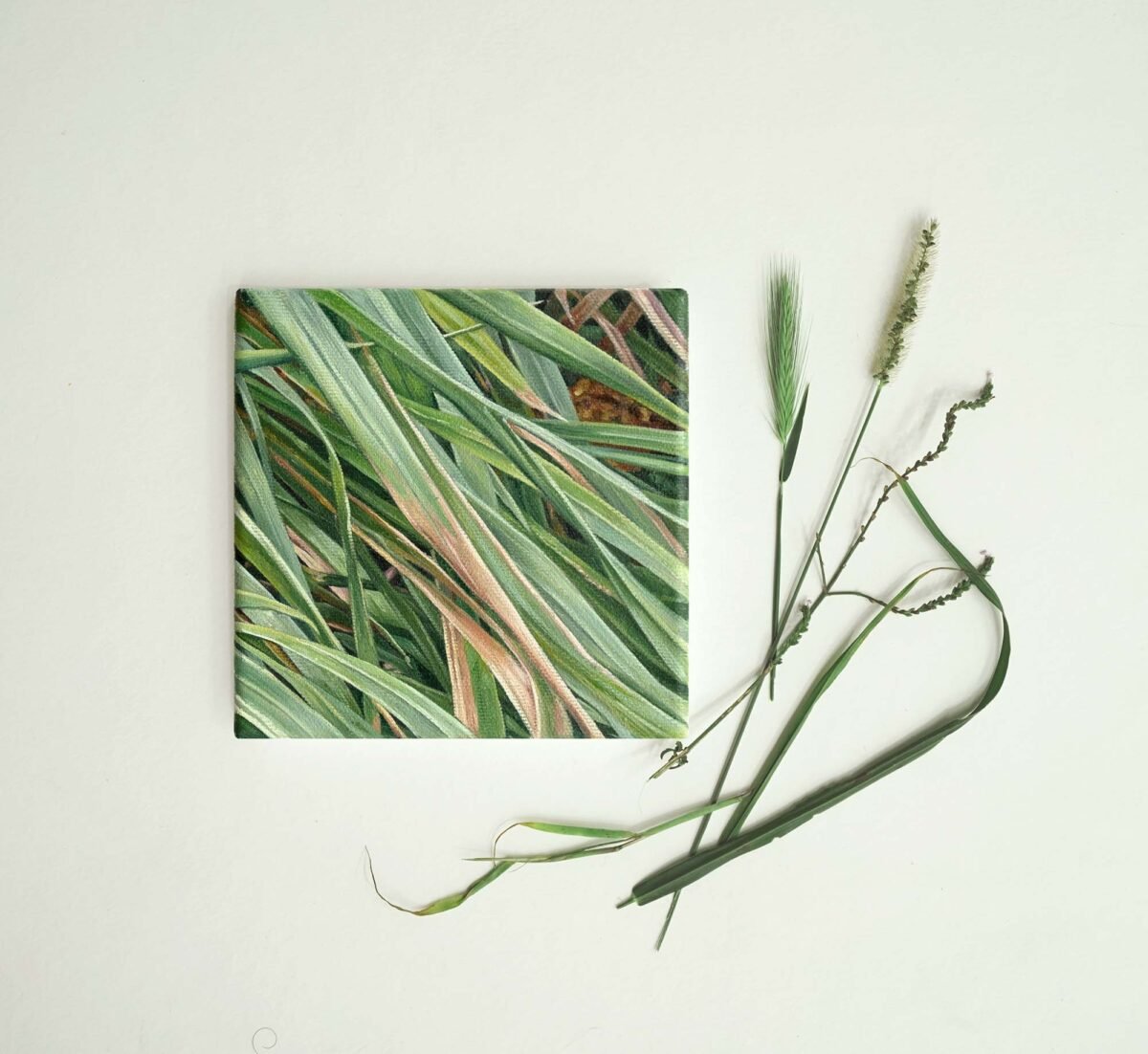 SOLD - No.14, 15x15cm, oil on canvas