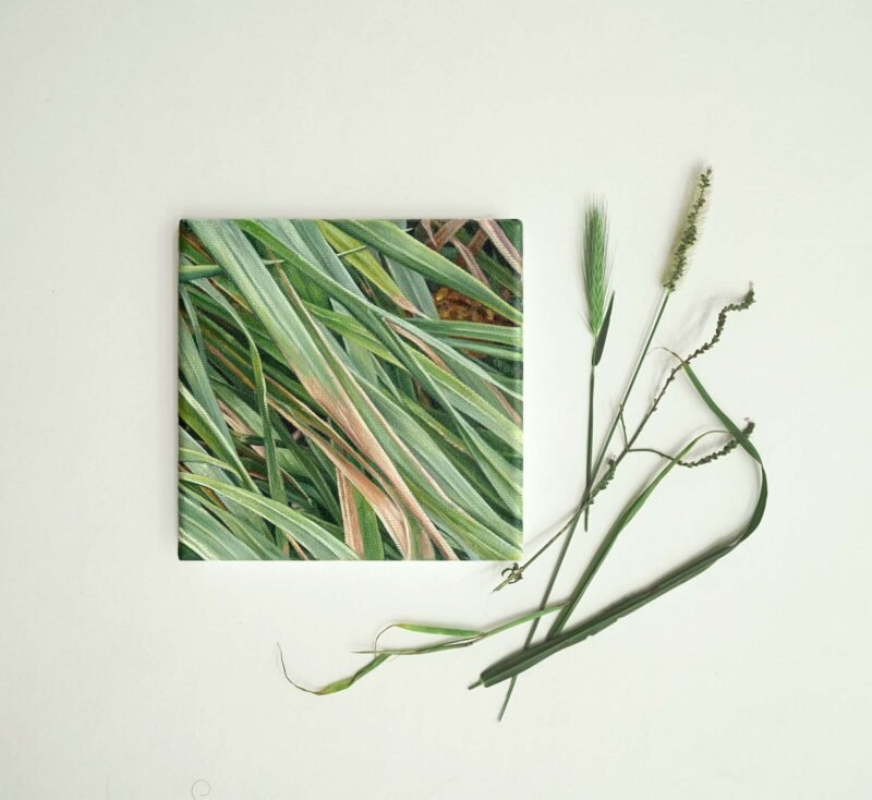 SOLD - No.14, 15x15cm, oil on canvas