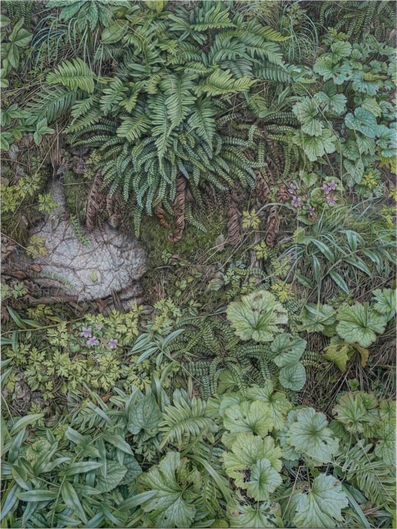 SOLD - No.27, 80x60cm, oil on canvas