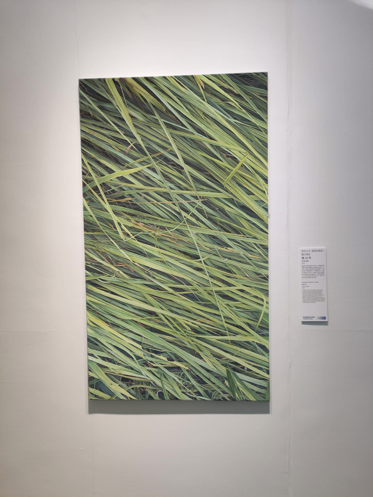 Aleksandar and Jelena Paunković No. 24 oil on canvas 155 x 88 cm shown at the 10th Beijing International Art Biennale Serbian contemporary art