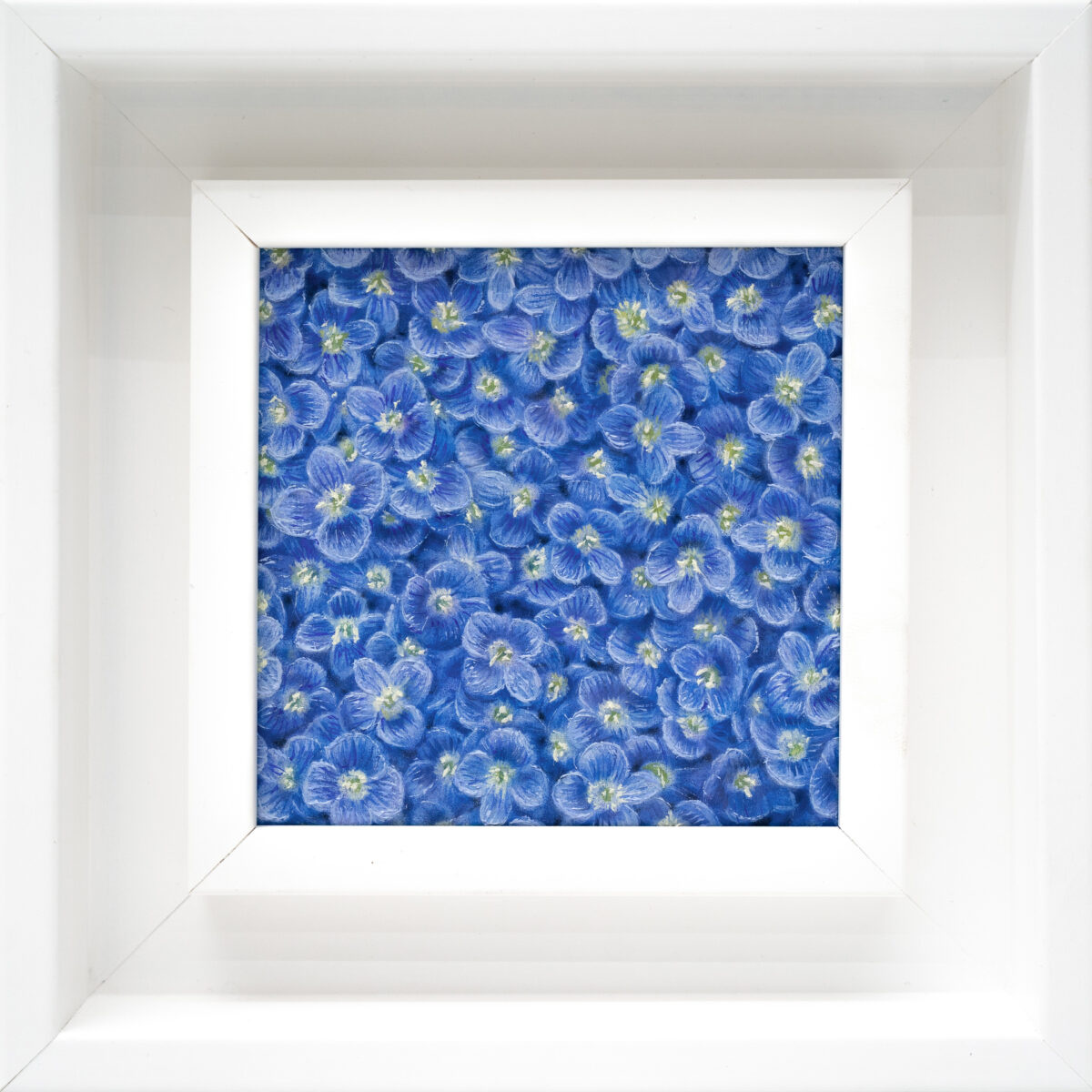 Veronica persica 10x10cm oil painting from The Garden of the Theotokos Series by Paunkovic, small framed artwork with tiny blue flowers.