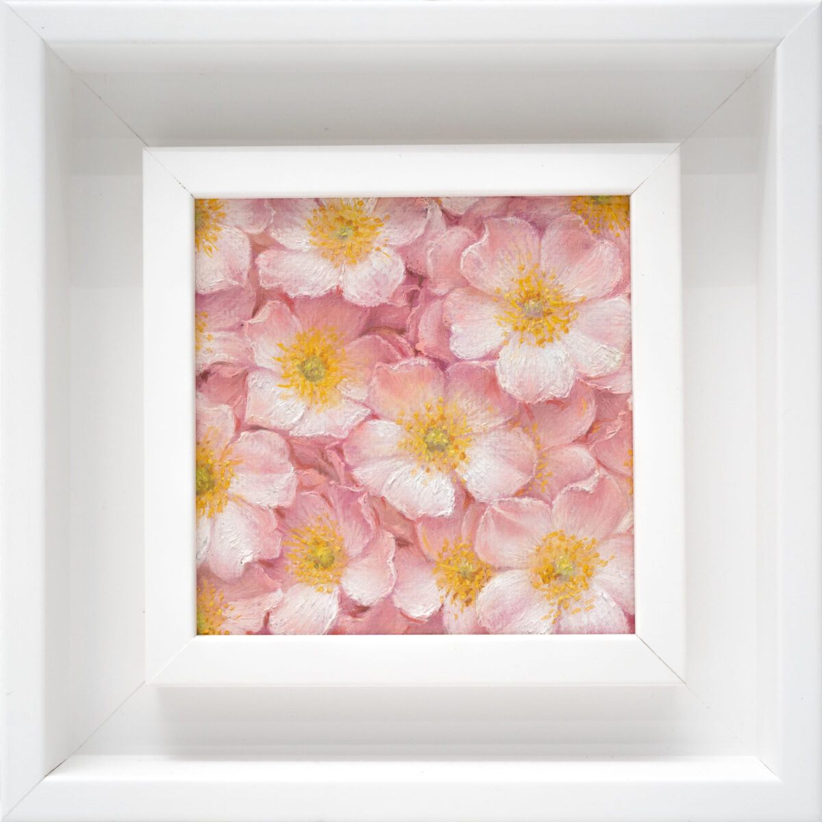 Wild rose oil painting 10x10cm – Rosa Canina flowers in pink