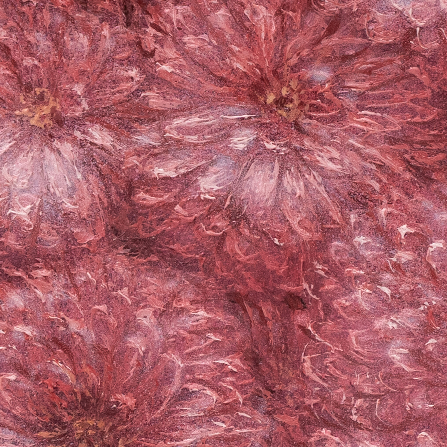 Chrysanthemum 10x10cm, Oil Painting - Image 3