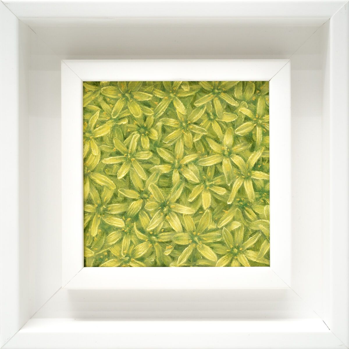 Yellow Star-of-Bethlehem 10x10cm oil painting from The Garden of the Theotokos Series by Paunkovic, small framed artwork with small yellow star-shaped flowers.