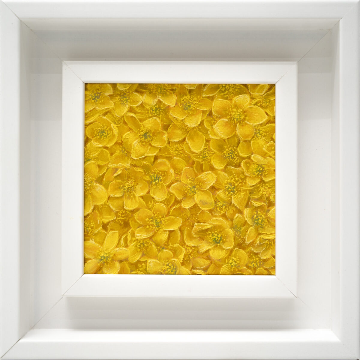 Marsh Marigold oil painting Caltha palustris 10x10cm small framed floral artwork